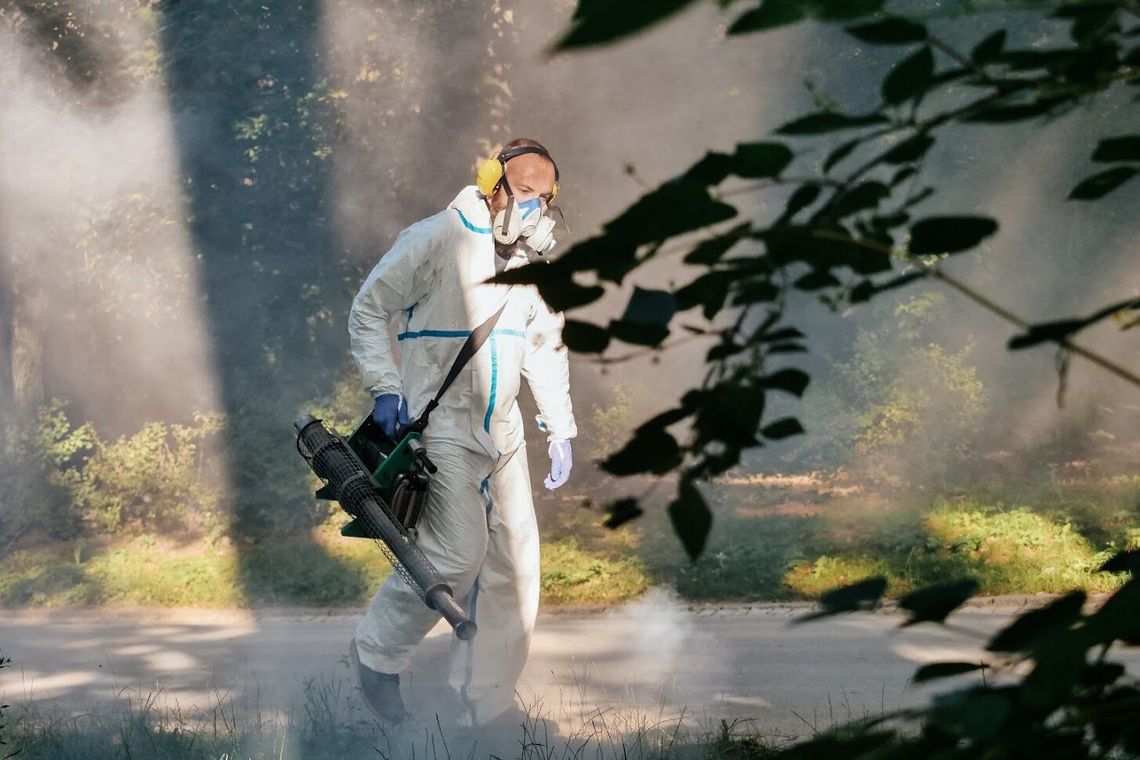 Rusza odkomarzanie Lublina. Znamy szczegółowy harmonogram