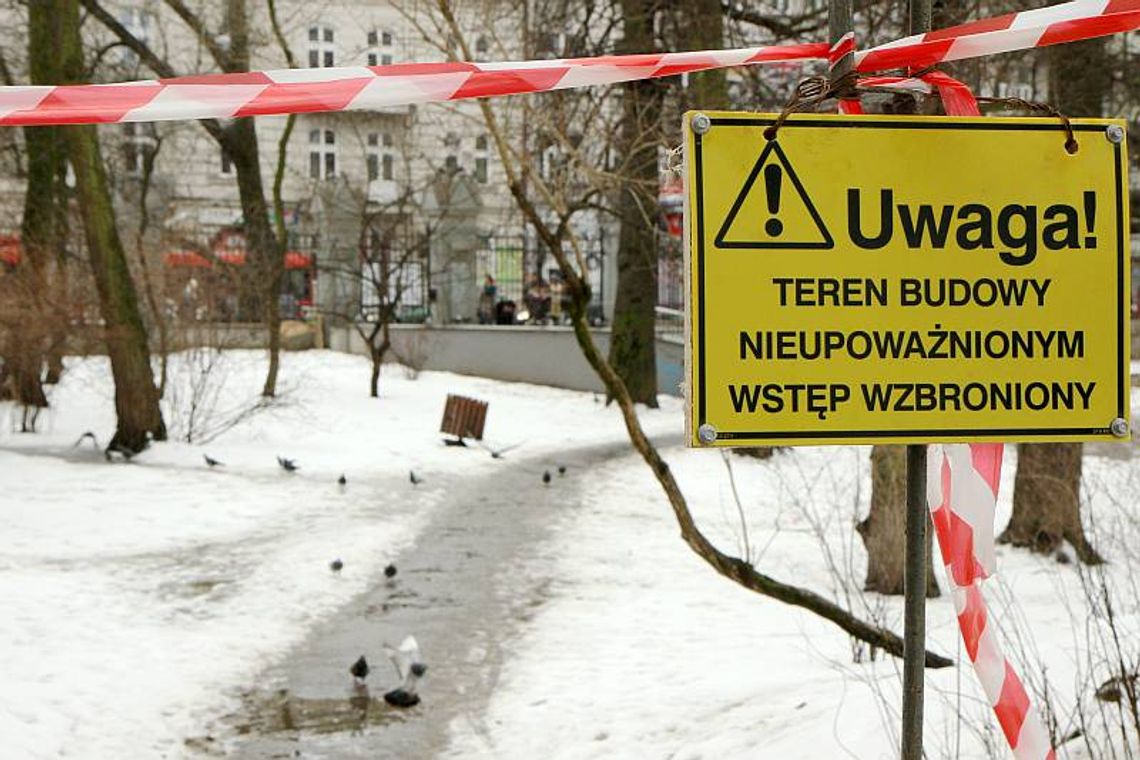 Ruszą prace przy zieleni w Ogrodzie Saskim Ruszą prace przy zieleni w Ogrodzie Saskim