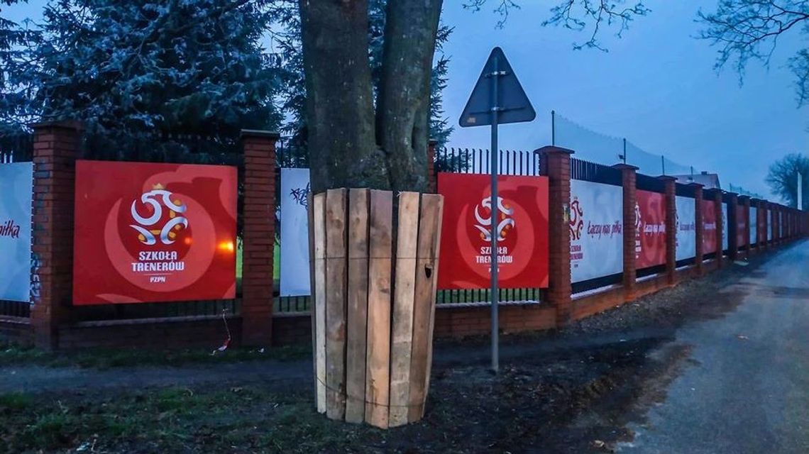 Ruszyła przebudowa ul. Warszawskiej w Białej Podlaskiej. Wytną 120 drzew "kolidujących z projektem"