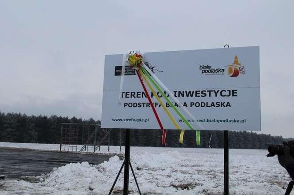 Ruszyła wycinka 19 tys. drzew. Inwestorzy zainteresowani gruntami