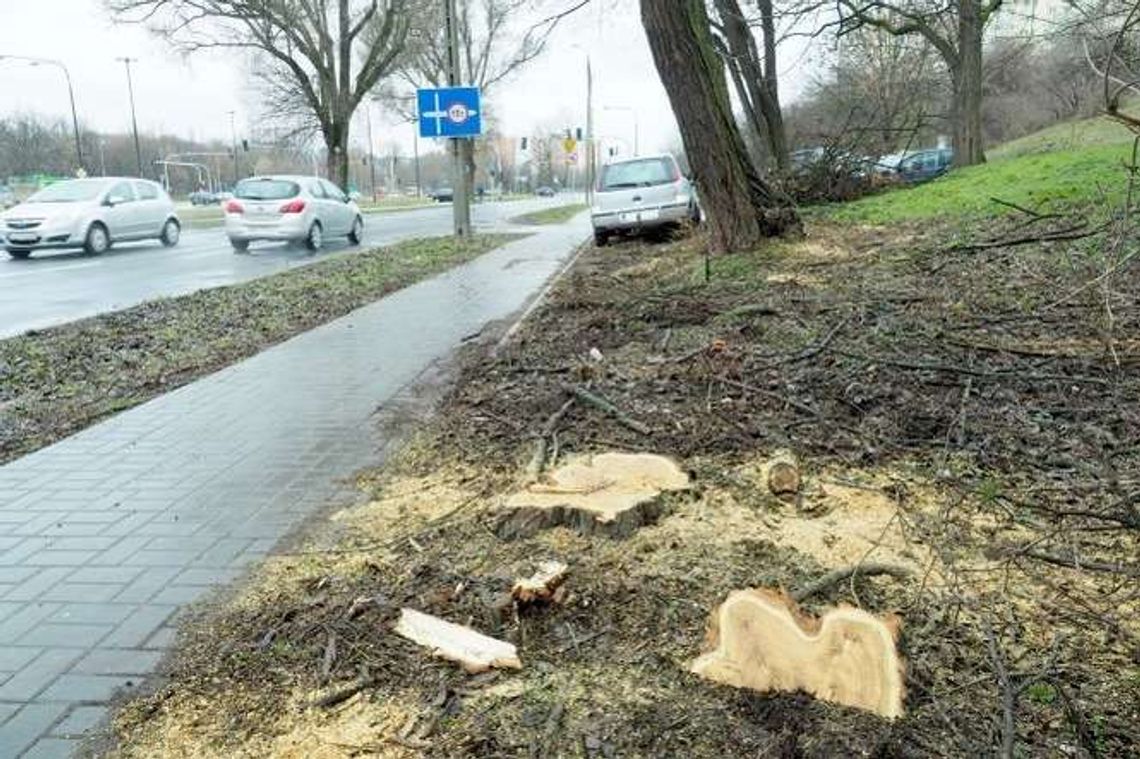 Ruszyła wycinka drzew na Czechowie. Tu powstanie nowy hotel i apartamentowiec Ruszyła wycinka drzew na Czechowie. Tu powstanie nowy hotel i apartamentowiec