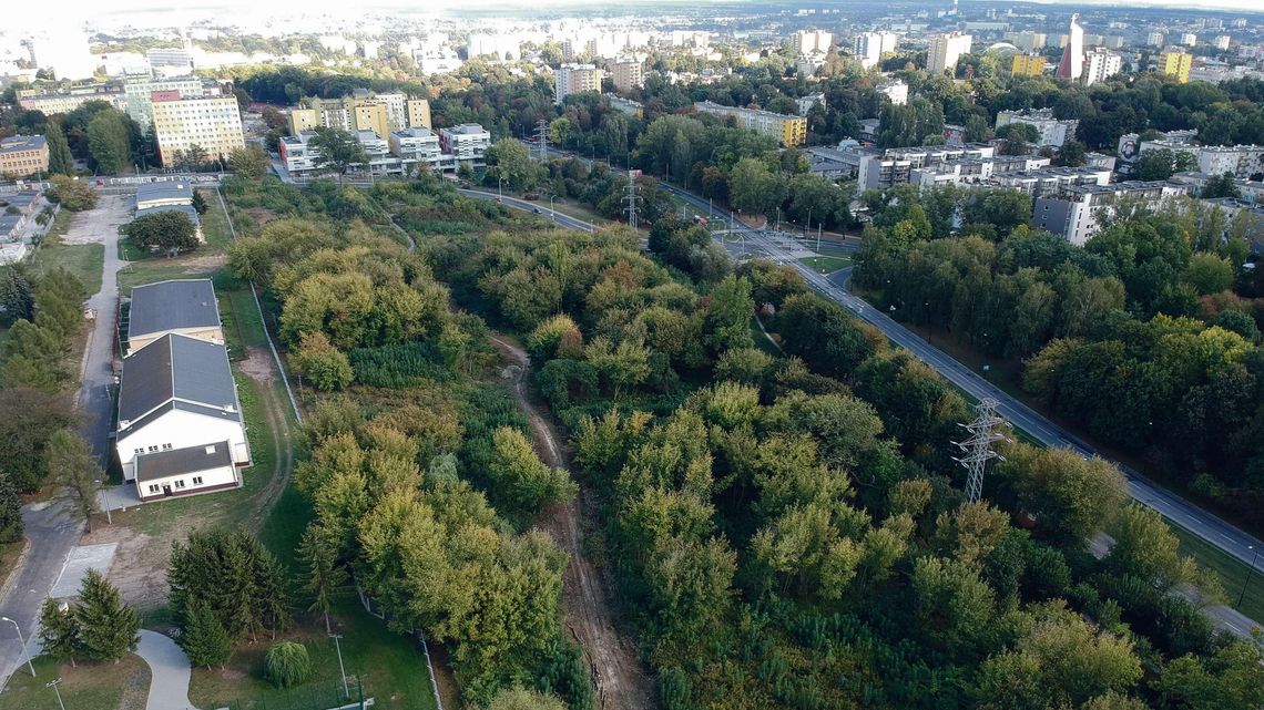 Ruszyła wycinka drzew w Lublinie. To tutaj powstaje kampus zachodni UMCS Ruszyła wycinka drzew w Lublinie. To tutaj powstaje kampus zachodni UMCS