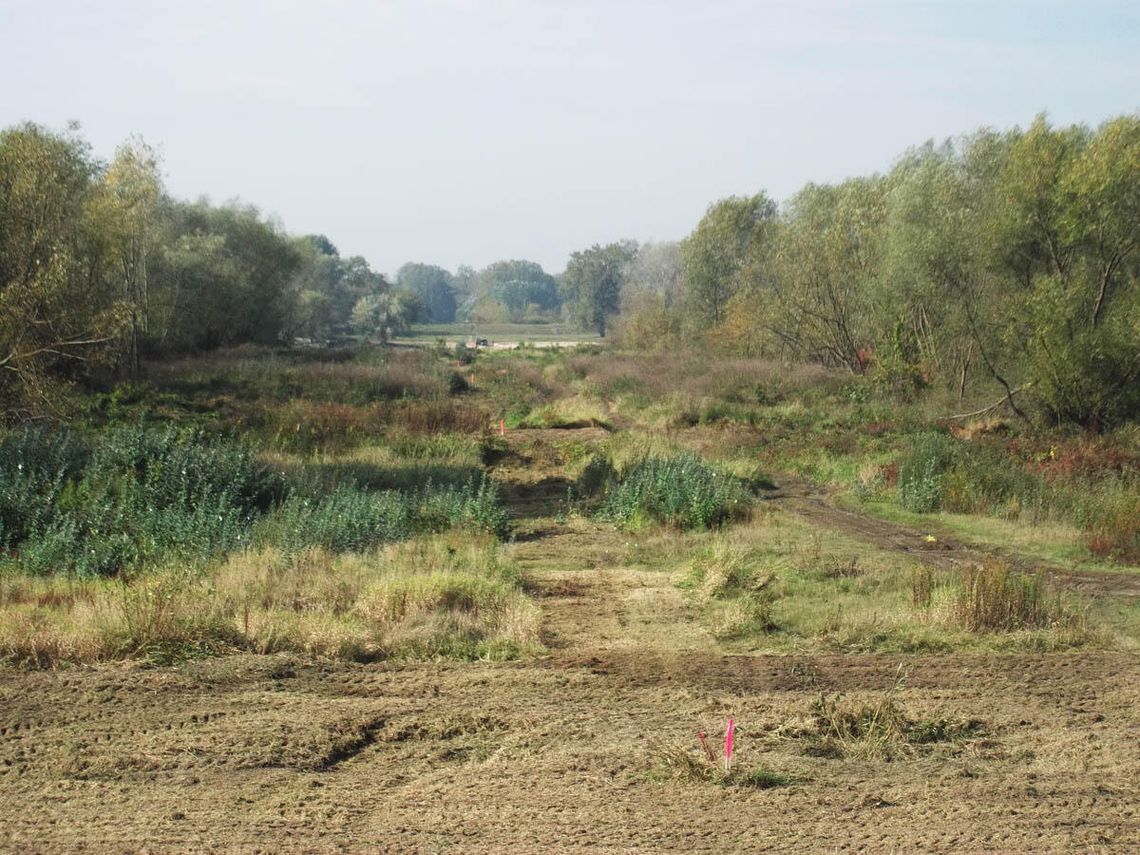 Ruszyły prace przy budowie nowego mostu Kamieniu Ruszyły prace przy budowie nowego mostu Kamieniu