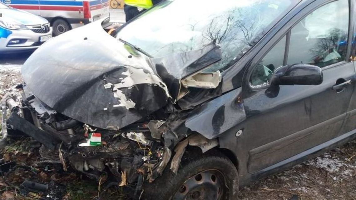 Ryki. Peugeot wylądował na drzewie. Kierowca był pijany Ryki. Peugeot wylądował na drzewie. Kierowca był pijany