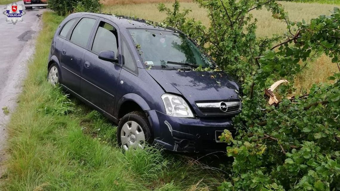 Ryki. Samochód w rowie, ale pijany kierowca chciał jechać dalej