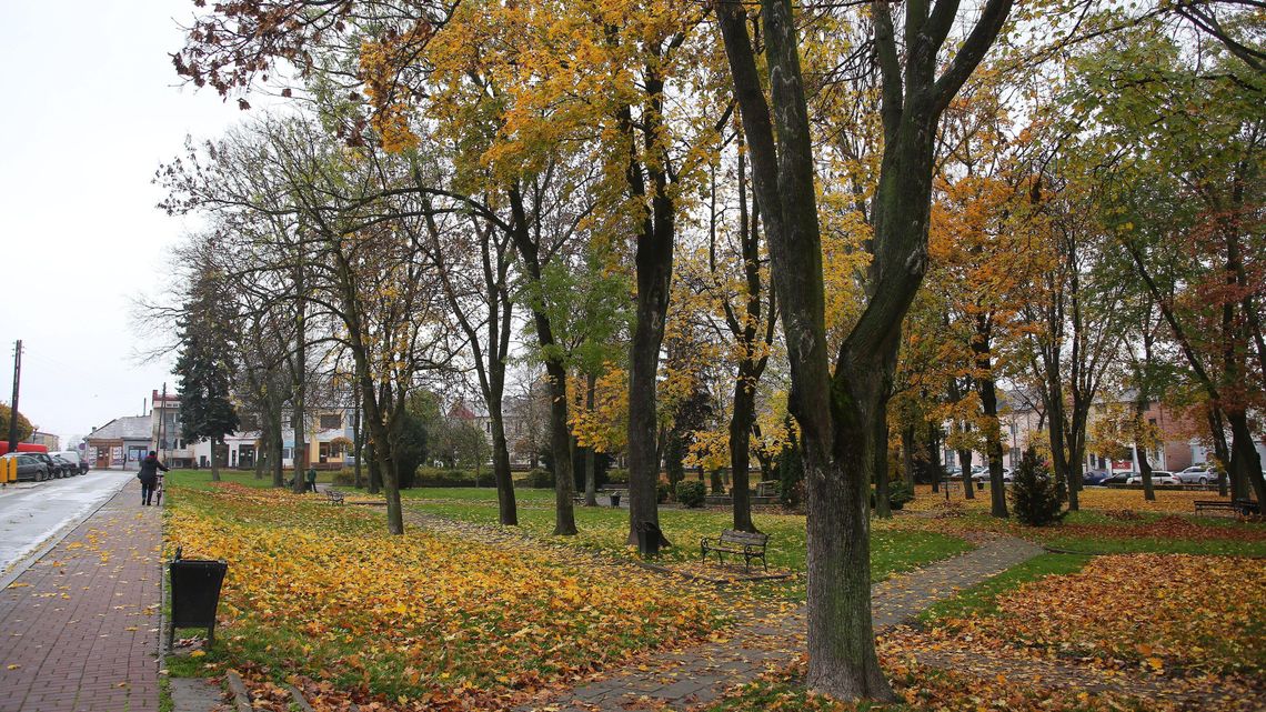 Rynek w Bełżycach. Urząd Miejski ograniczy do minimum wycinkę drzew