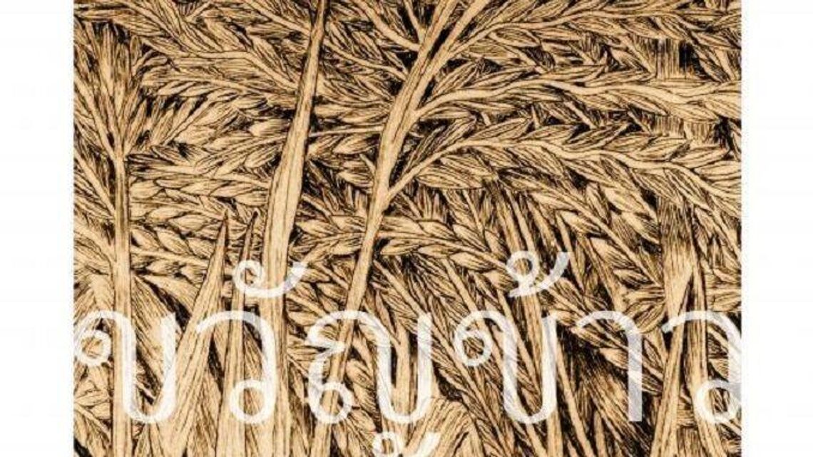 "Rytuał tajskiego ryżu". Wystawa na UMCS