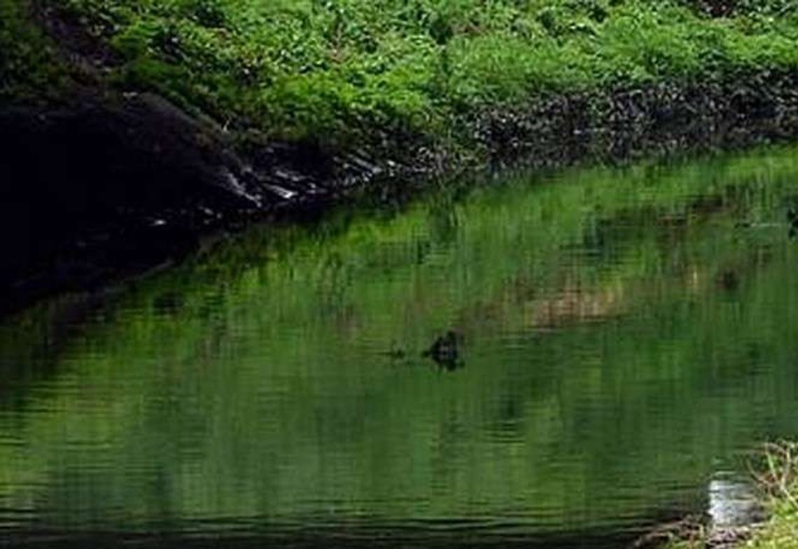 Rząd da 3 mln zł na most na Ciemiędze