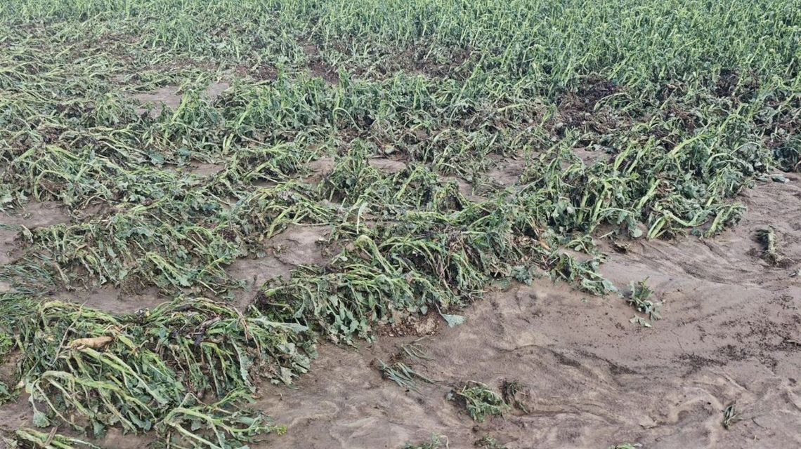 Rząd obiecuje szybkie wypłaty odszkodowań dla rolników po nawałnicach na Lubelszczyźnie