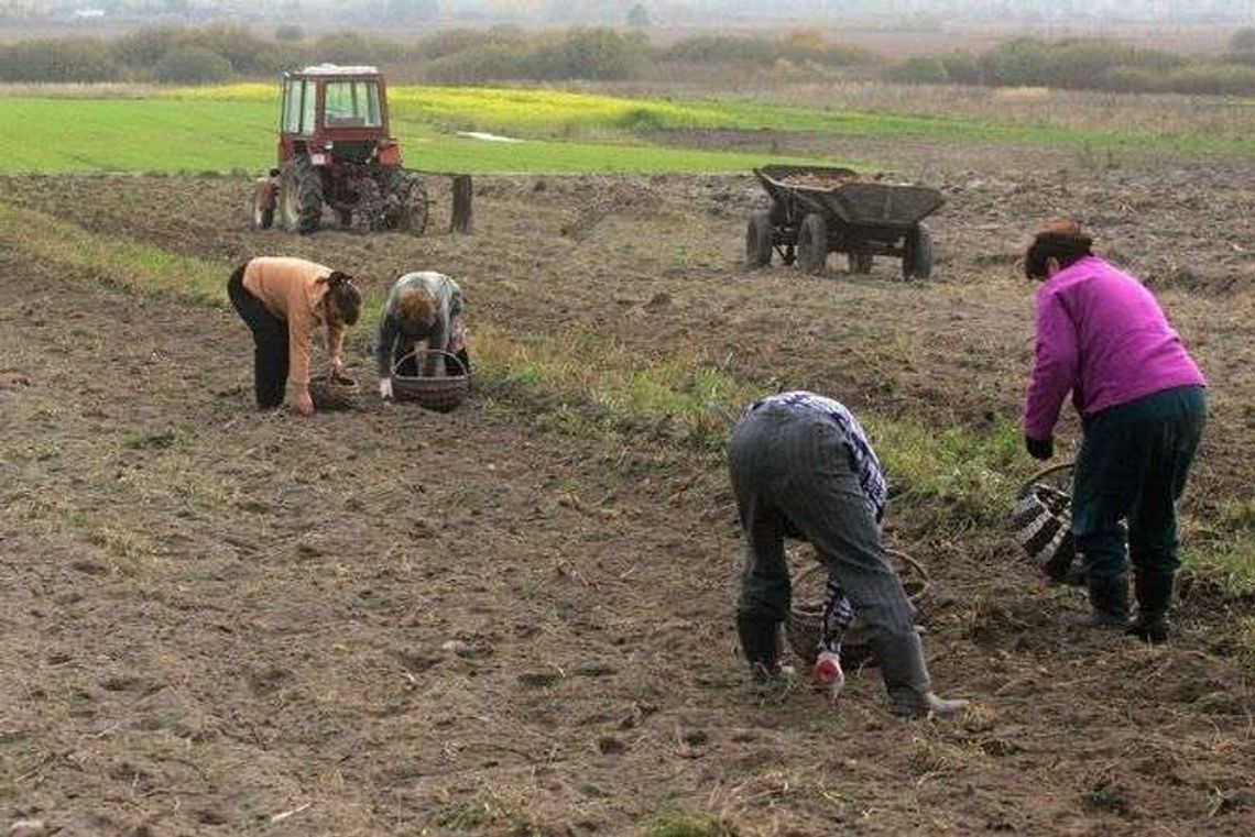 Rząd zapowiada nowy podatek. Nawet 300 zł miesięcznie