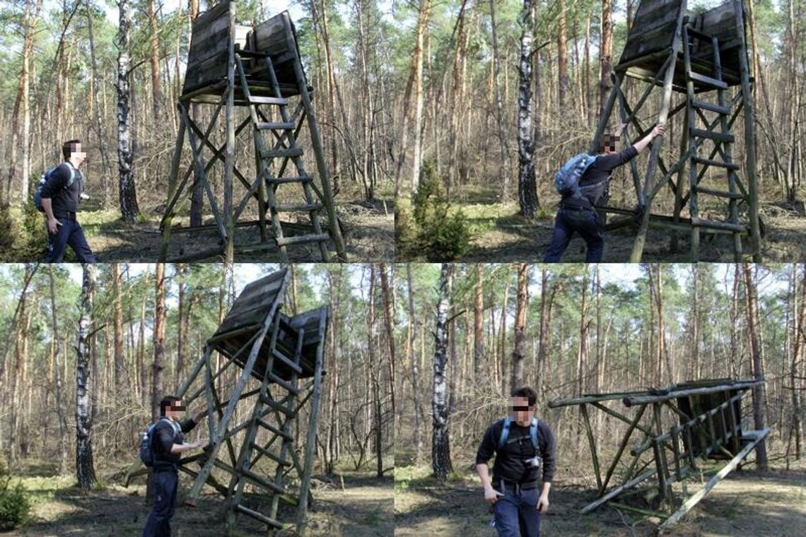 Rzecznik zniszczył ambonę w lesie?