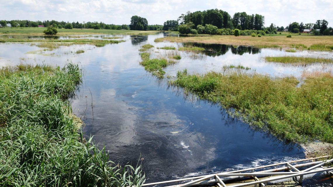 Rzeka Tarasienka wystąpiła z koryta i wygania letników znad Jeziora Białego Rzeka Tarasienka wystąpiła z koryta i wygania letników znad Jeziora Białego