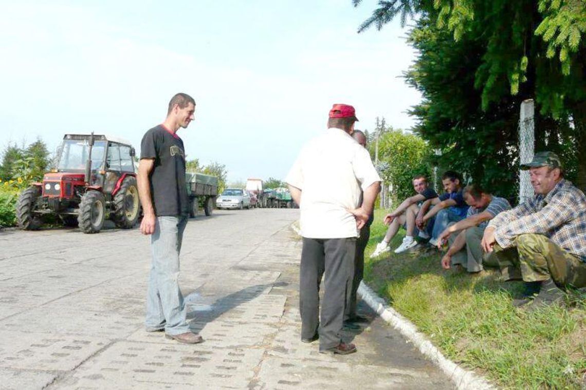 Rzepak w tym roku obrodził