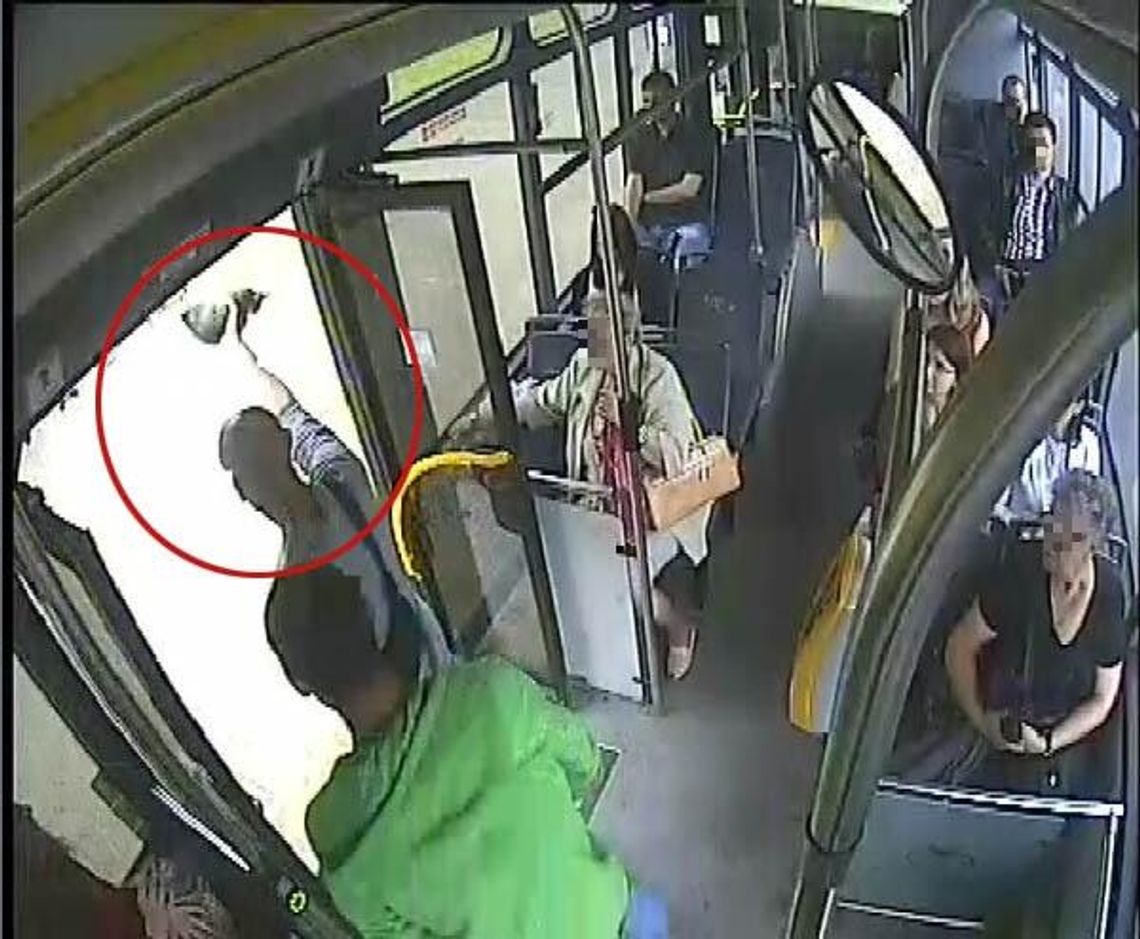 Rzucał kociętami po autobusie, nikt nie reagował. \"Tylko się z nimi bawiłem\"