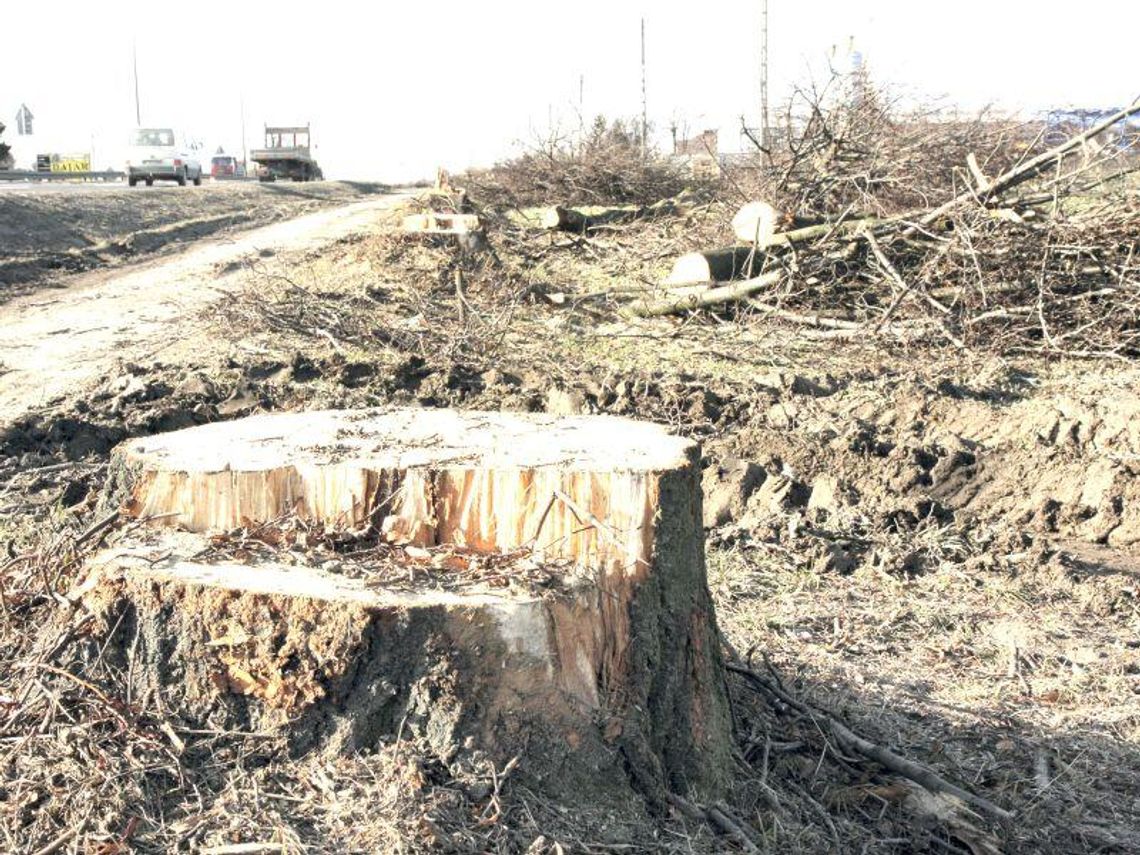 S-17: Budowa się rozkręca