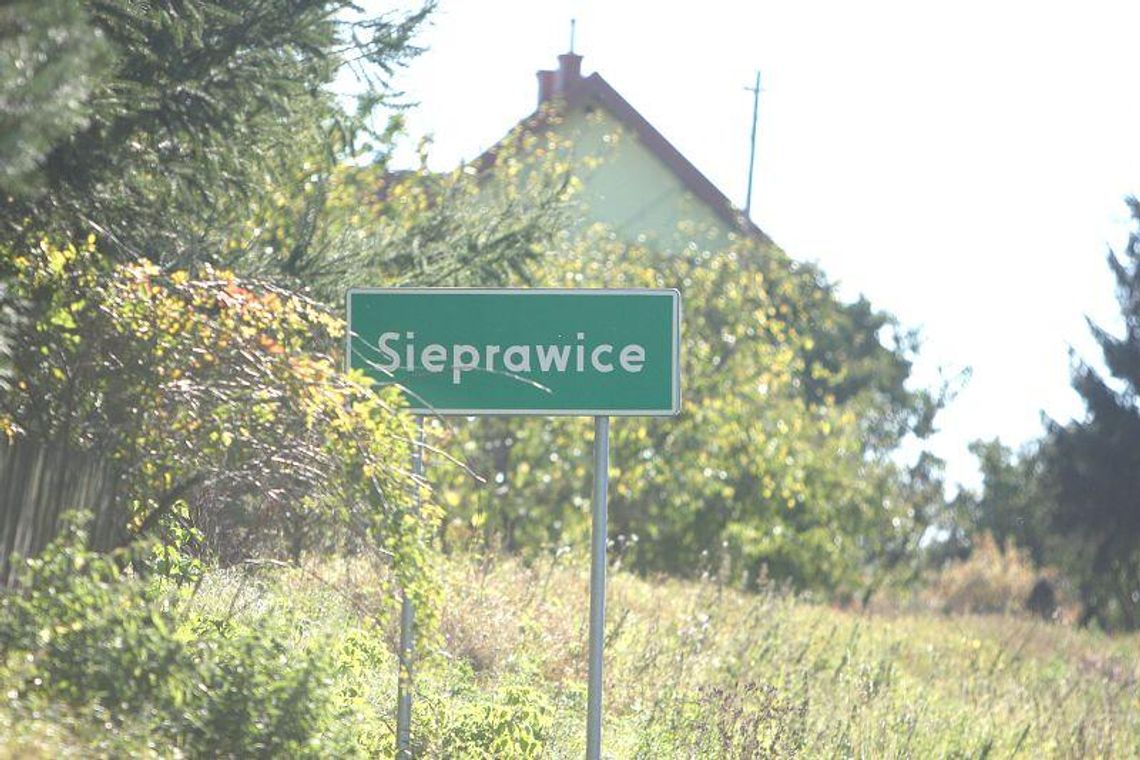 S17: Drogowcy zepsuli wodociąg i odjechali. Wieś została bez wody S17: Drogowcy zepsuli wodociąg i odjechali. Wieś została bez wody