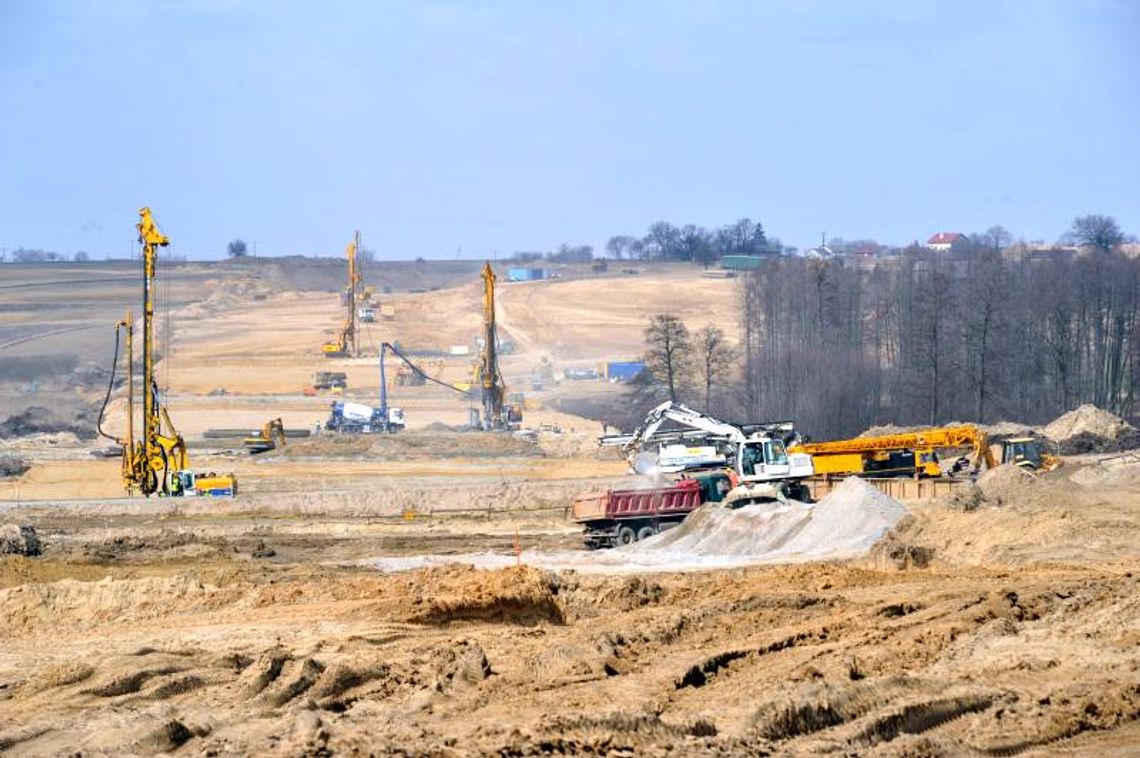 S17: Wiosna przyszła,  to ryją w ziemi