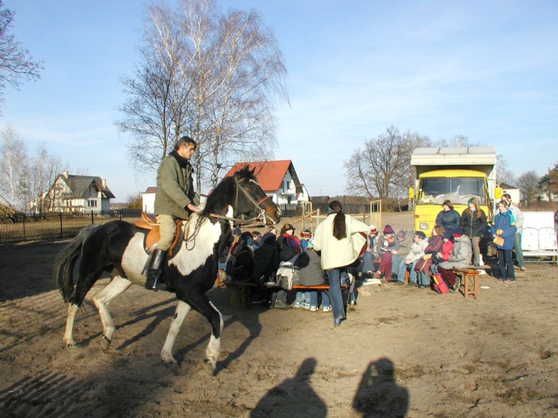 Są konie brakuje instruktorów