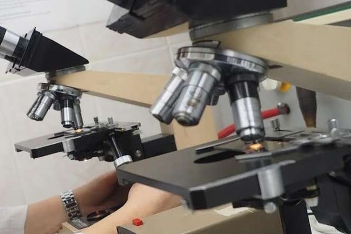 Są złe i dobre laboratoria. Dyrektor jednej z firm nie zgadza się z zarzutami Są złe i dobre laboratoria. Dyrektor jednej z firm nie zgadza się z zarzutami