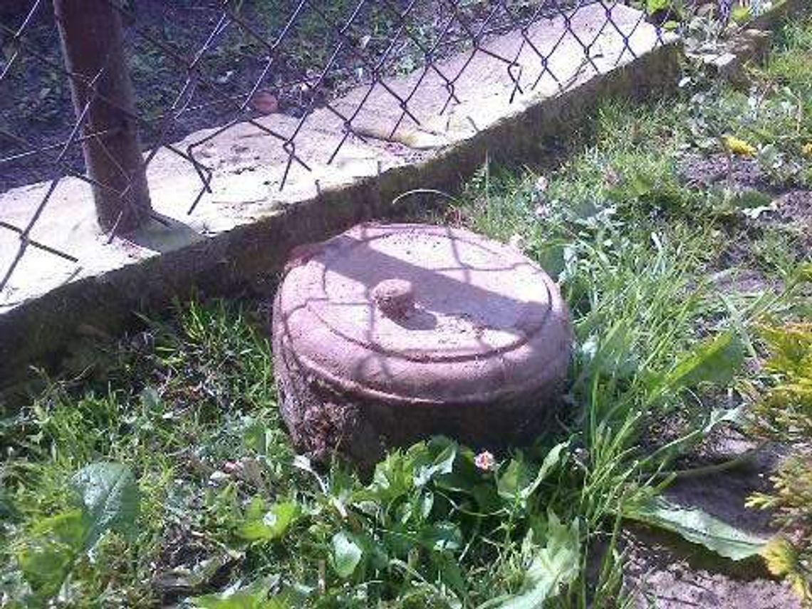 Sadził tuję w ogródku, znalazł minę przeciwpancerną