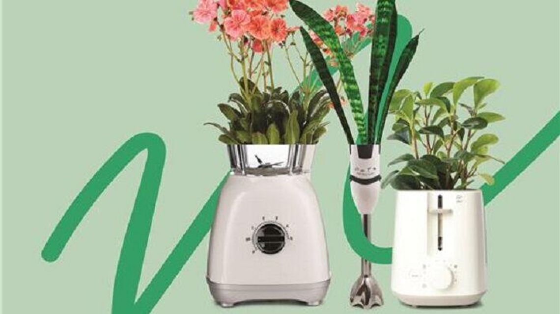 Sadzonki za elektroodpady. Dzień Bez Śmiecenia w SKENDE i IKEA