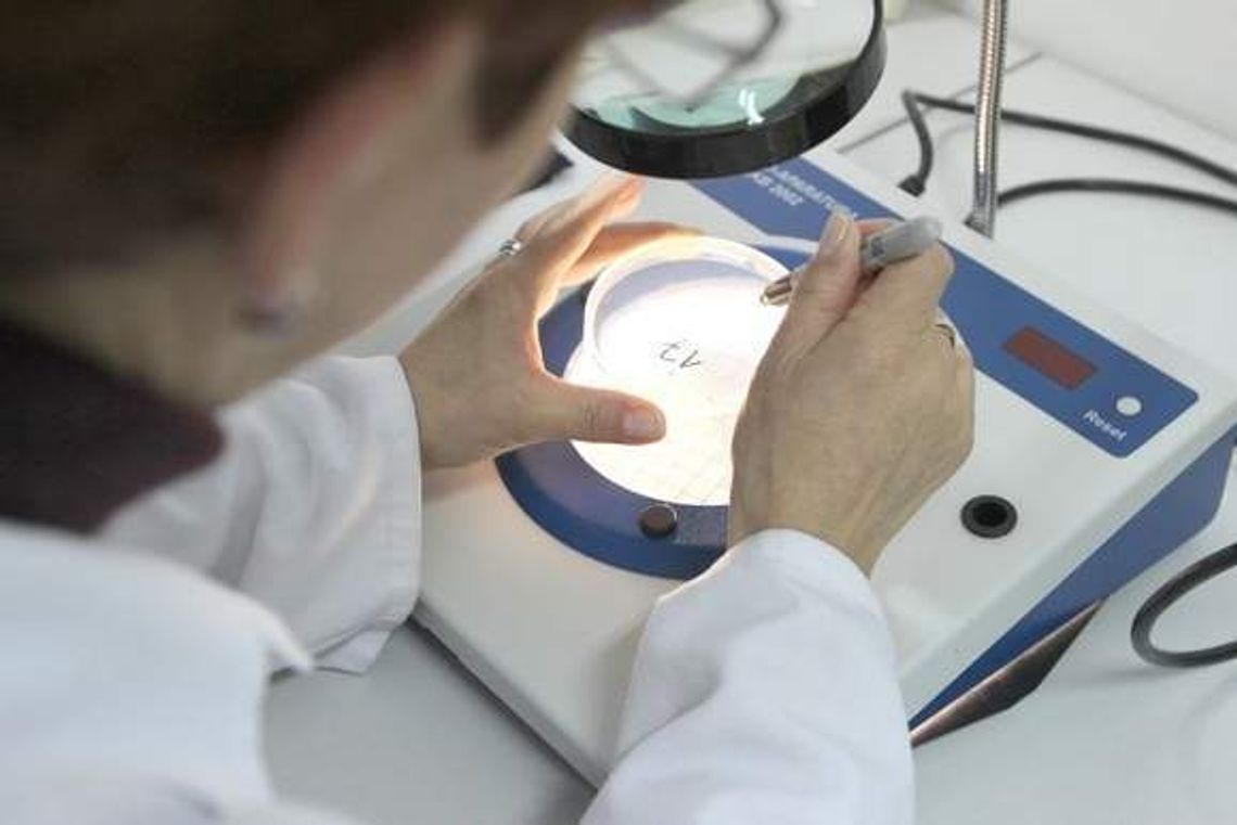 Salmonella u przedszkolaków. Dzieci wracają do przedszkola