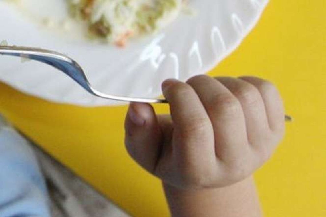 Salmonella w kolejnym przedszkolu w Puławach. Źródło choroby? Nieznane