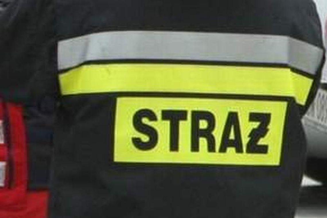 Samochód spłonął na S17 w okolicach węzła Jastków