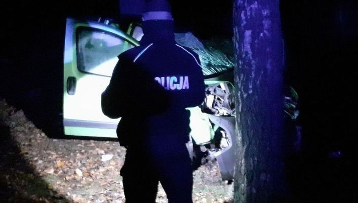 Samochód uderzył w drzewo. Kierowca i pasażer trafili do szpitala
