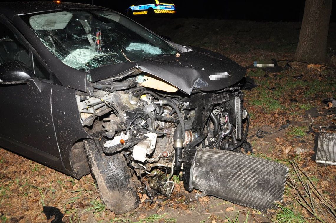 Samochód uderzył w drzewo. Trzy osoby trafiły do szpitala Samochód uderzył w drzewo. Trzy osoby trafiły do szpitala