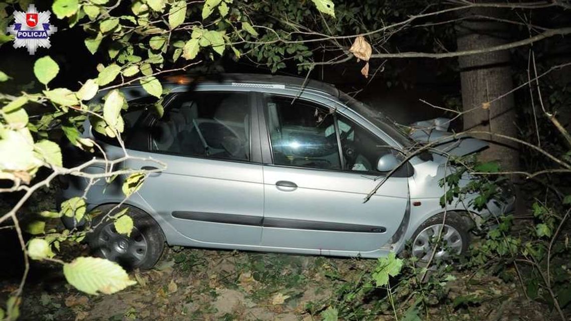 Samochód uderzył w drzewo. Zawiniła osa?