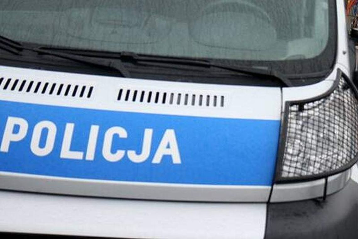 Samochód zderzył się z łosiem. Dwie osoby ranne