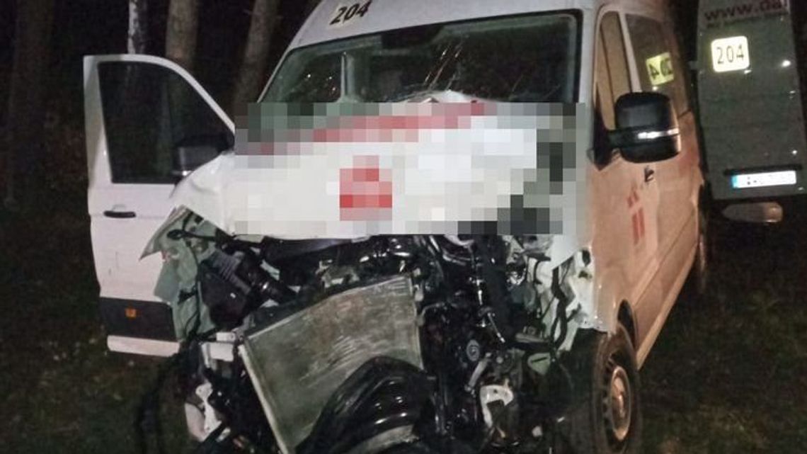 Samochód zderzył się z przebiegającym przez jezdnię jeleniem. Dwie osoby w szpitalu