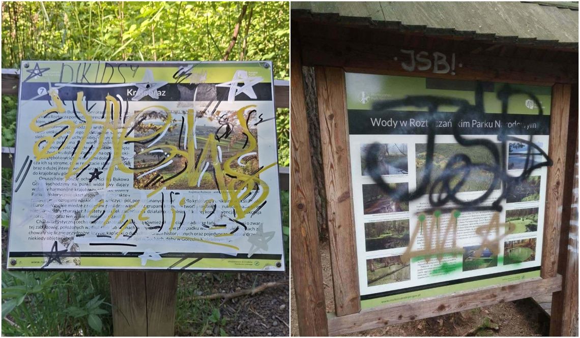 Samozwańczy „artysta” na terenie Roztoczańskiego Parku Narodowego. „Wandalom mówimy zdecydowane NIE”
