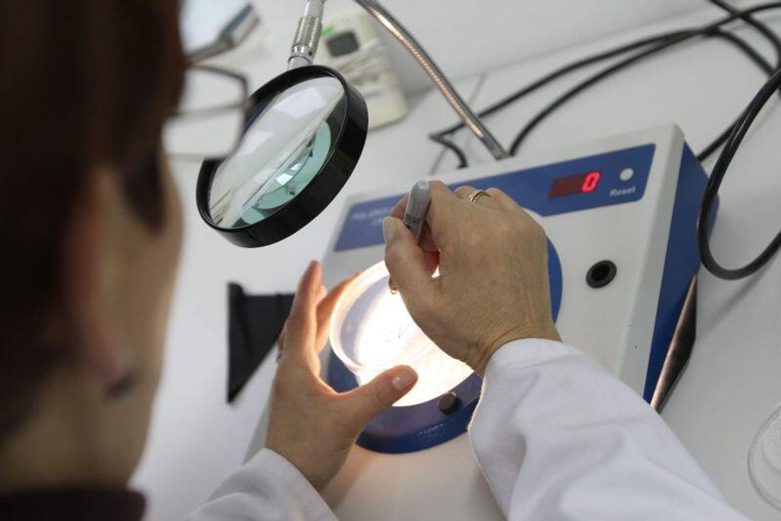 Sanepid śladami turystów: 11 mandatów, na 2600 zł