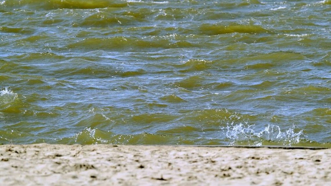 Sanepid zamknął duże kąpielisko w Lubelskiem. Woda jest zanieczyszczona Sanepid zamknął duże kąpielisko w Lubelskiem. Woda jest zanieczyszczona