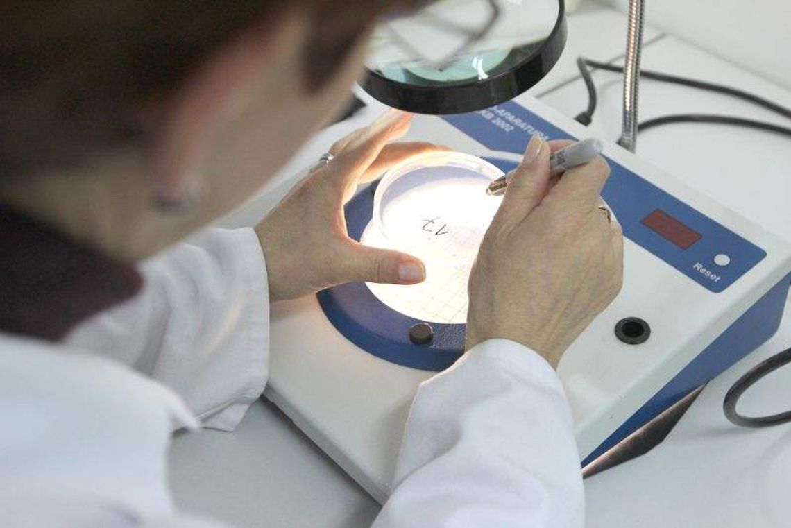 Sanepid zamknął przedszkole w Białej Podlaskiej: 10 dzieci z salmonellą