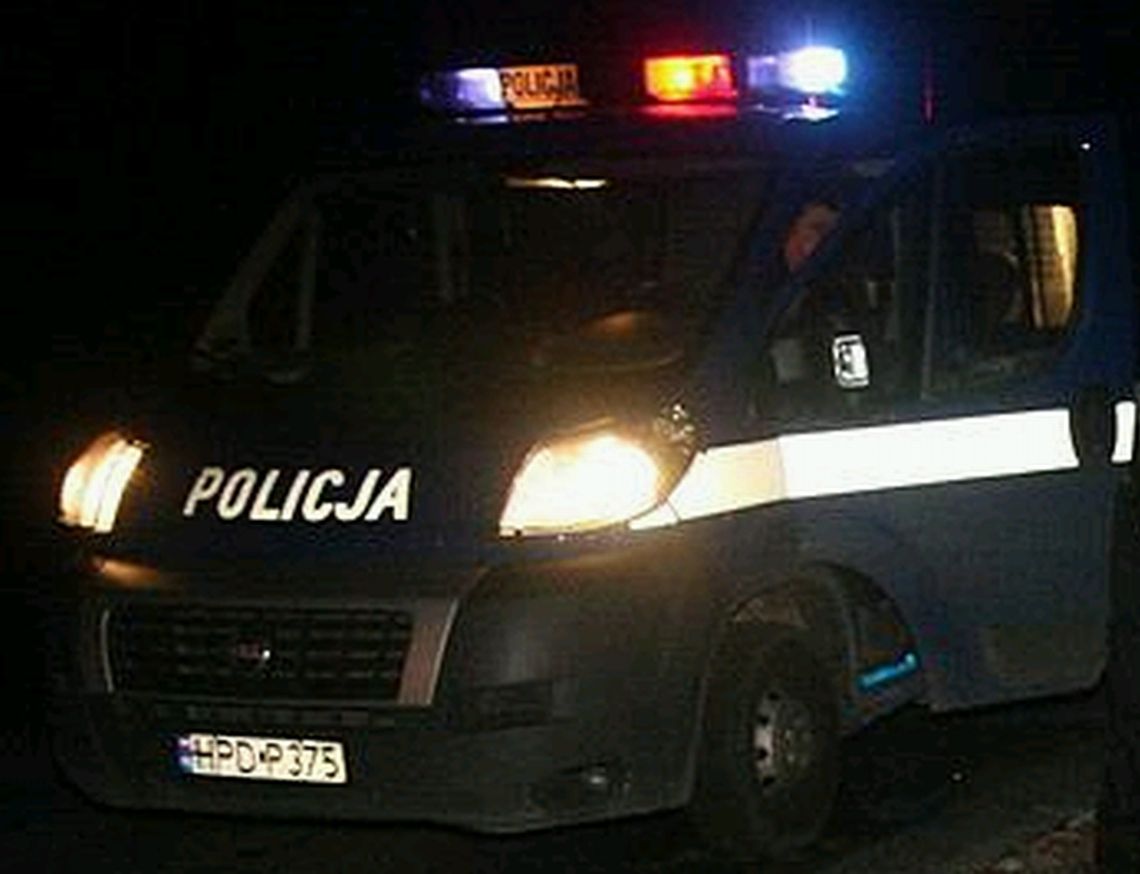 Sanie bez woźnicy pędziły po drodze