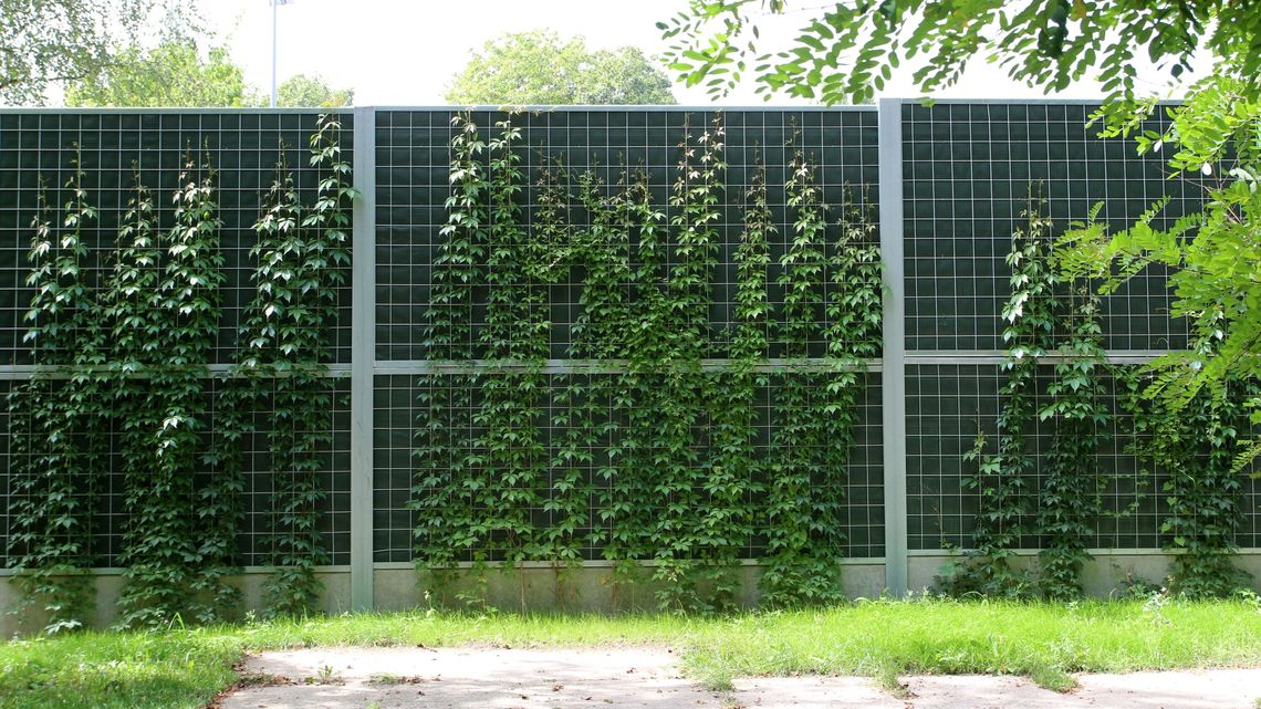 Sąsiadom boiska było za głośno i za jasno. Kiedy powstał ekran za 240 tysięcy, jest za ciemno