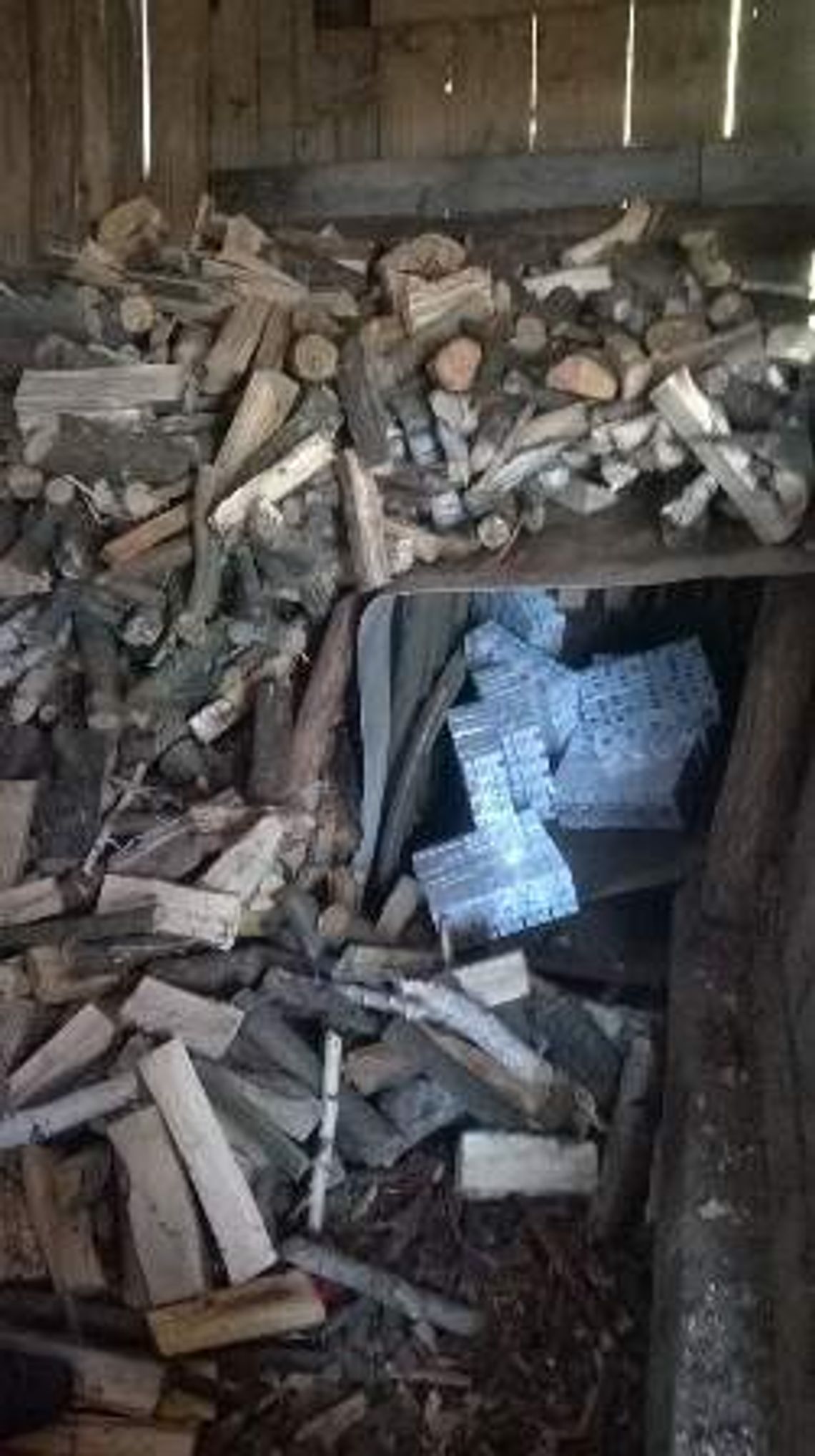 Schował papierosy pod stosem drzewa