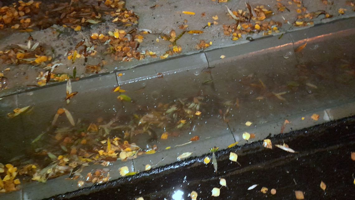 "Ścieki zalewają mi działkę". Winny remont drogi?