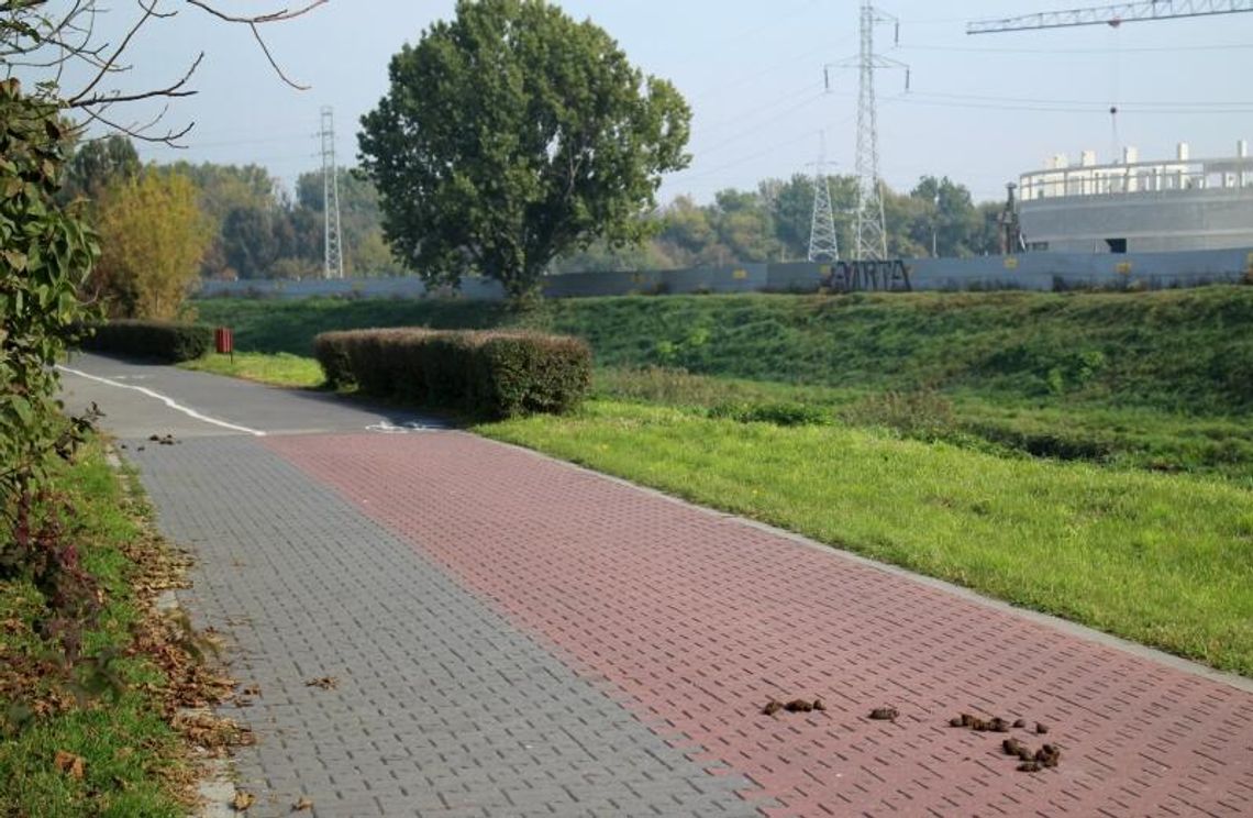 Ścieżka końska czy rowerowa? (zdjęcia) Ścieżka końska czy rowerowa? (zdjęcia)