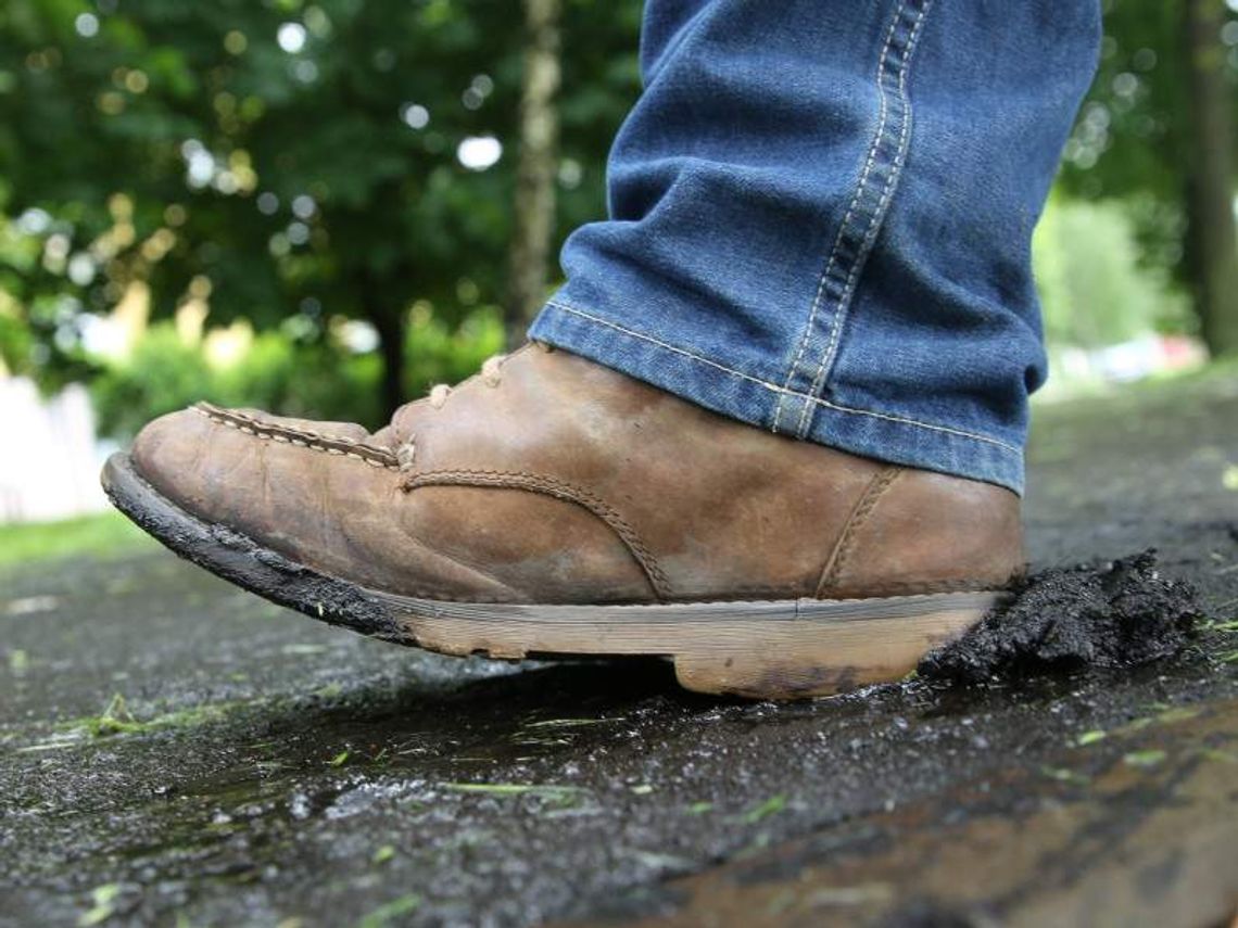 Ścieżka na ul. Filaretów rozpada się. Urzędnicy trafią na dywanik Ścieżka na ul. Filaretów rozpada się. Urzędnicy trafią na dywanik
