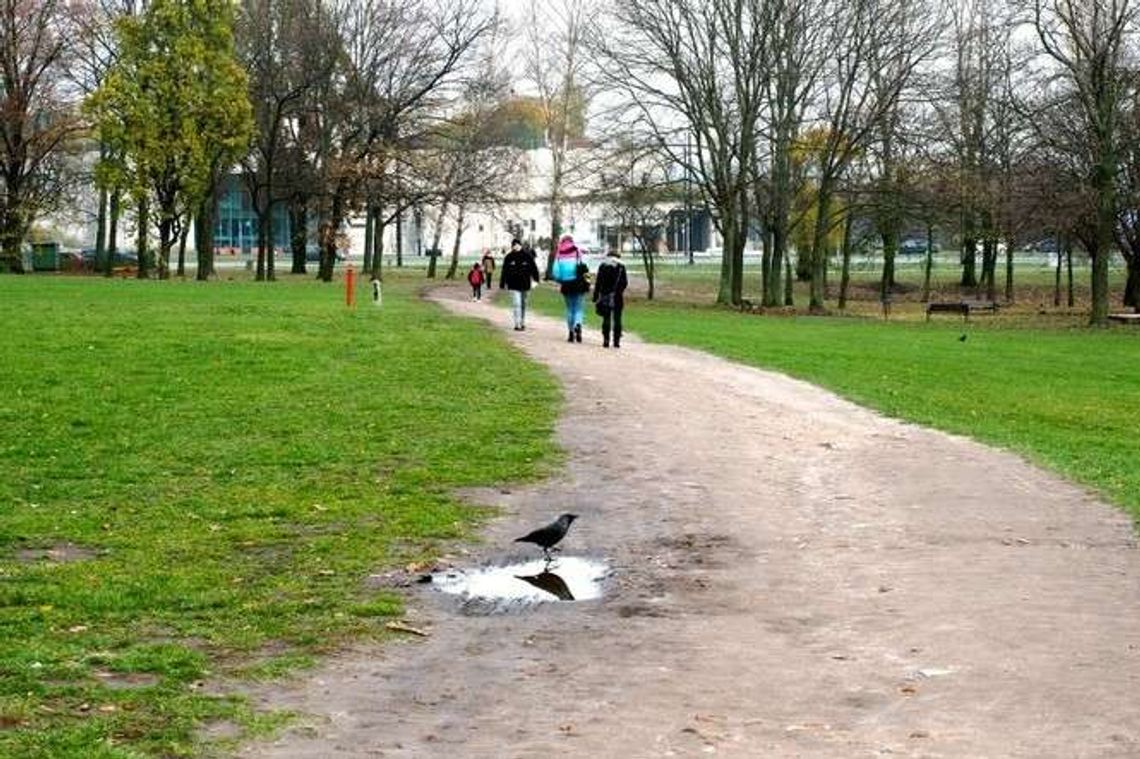 Ścieżka obok Zamku zamienia się w błotną ślizgawkę Ścieżka obok Zamku zamienia się w błotną ślizgawkę