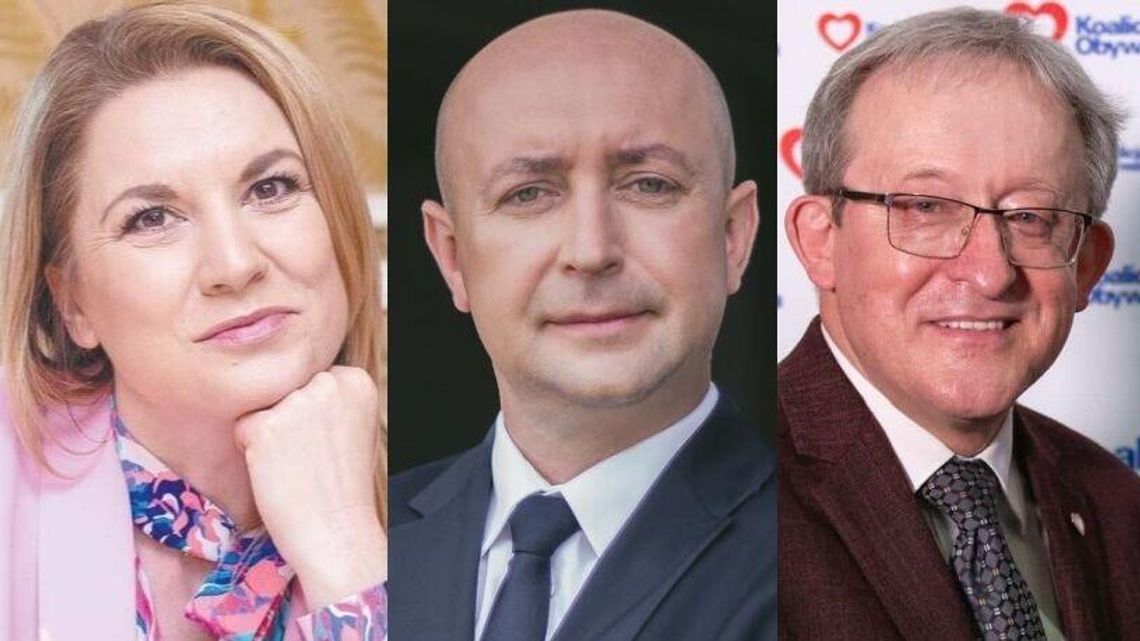 Sejmik debiutantów. Ponad połowę stanowią nowicjusze. Kim są i ile zdobyli głosów? Sejmik debiutantów. Ponad połowę stanowią nowicjusze. Kim są i ile zdobyli głosów?