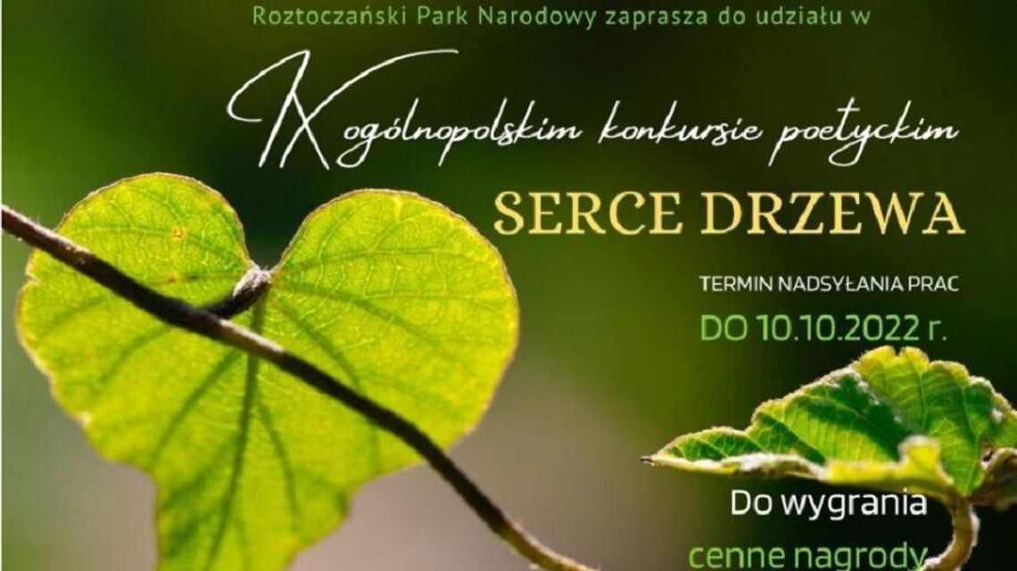 Serce drzewa w roli głównej. Poetycki konkurs w Roztoczańskim Parku Narodowym Serce drzewa w roli głównej. Poetycki konkurs w Roztoczańskim Parku Narodowym