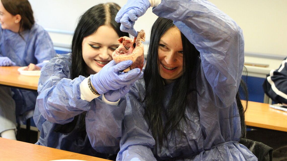 Serce na dłoni i materiał genetyczny z banana. Festiwal nauki z AZ Serce na dłoni i materiał genetyczny z banana. Festiwal nauki z AZ