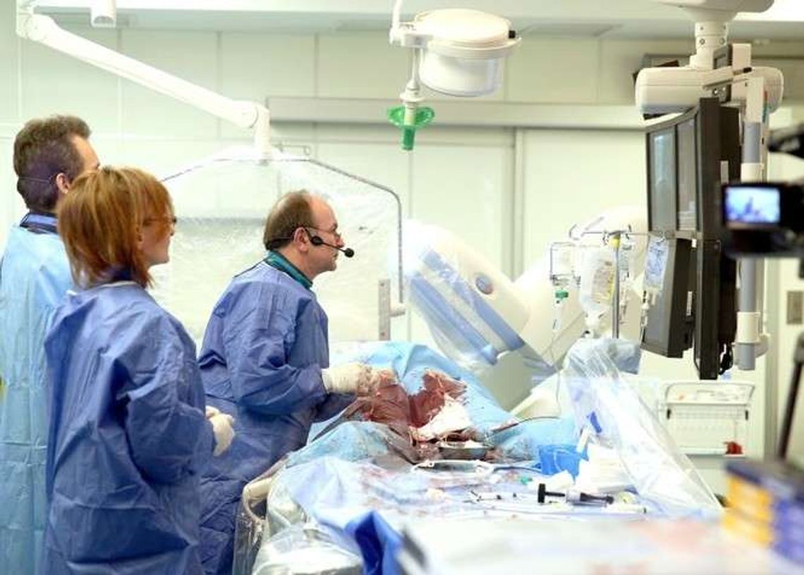 Serce nie wytrzyma cięć w kardiologii. "Będą większe kolejki, a szpitale stracą pieniądze" Serce nie wytrzyma cięć w kardiologii. "Będą większe kolejki, a szpitale stracą pieniądze"