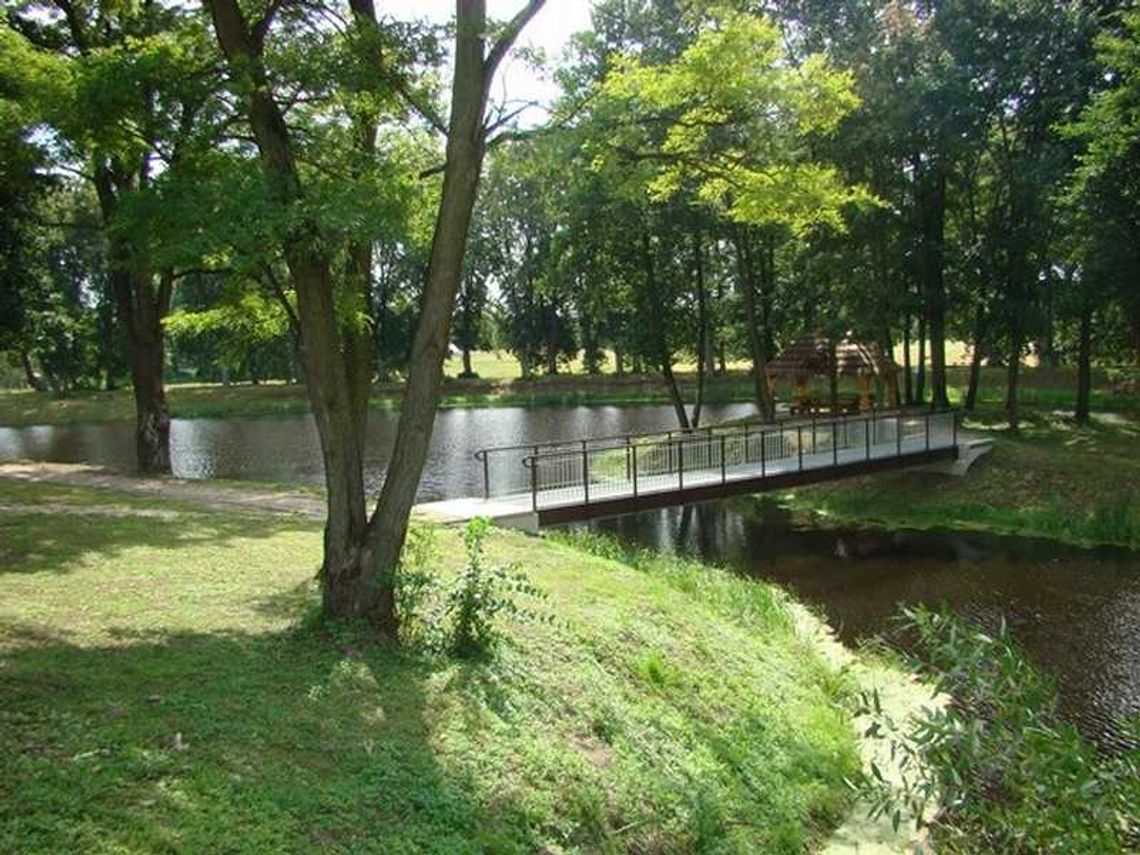 Serniki pięknieją. Tak się zmieniło