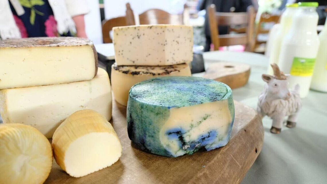 Serowa moc w Lublinie. Gwiazdą święta był twaróg Serowa moc w Lublinie. Gwiazdą święta był twaróg